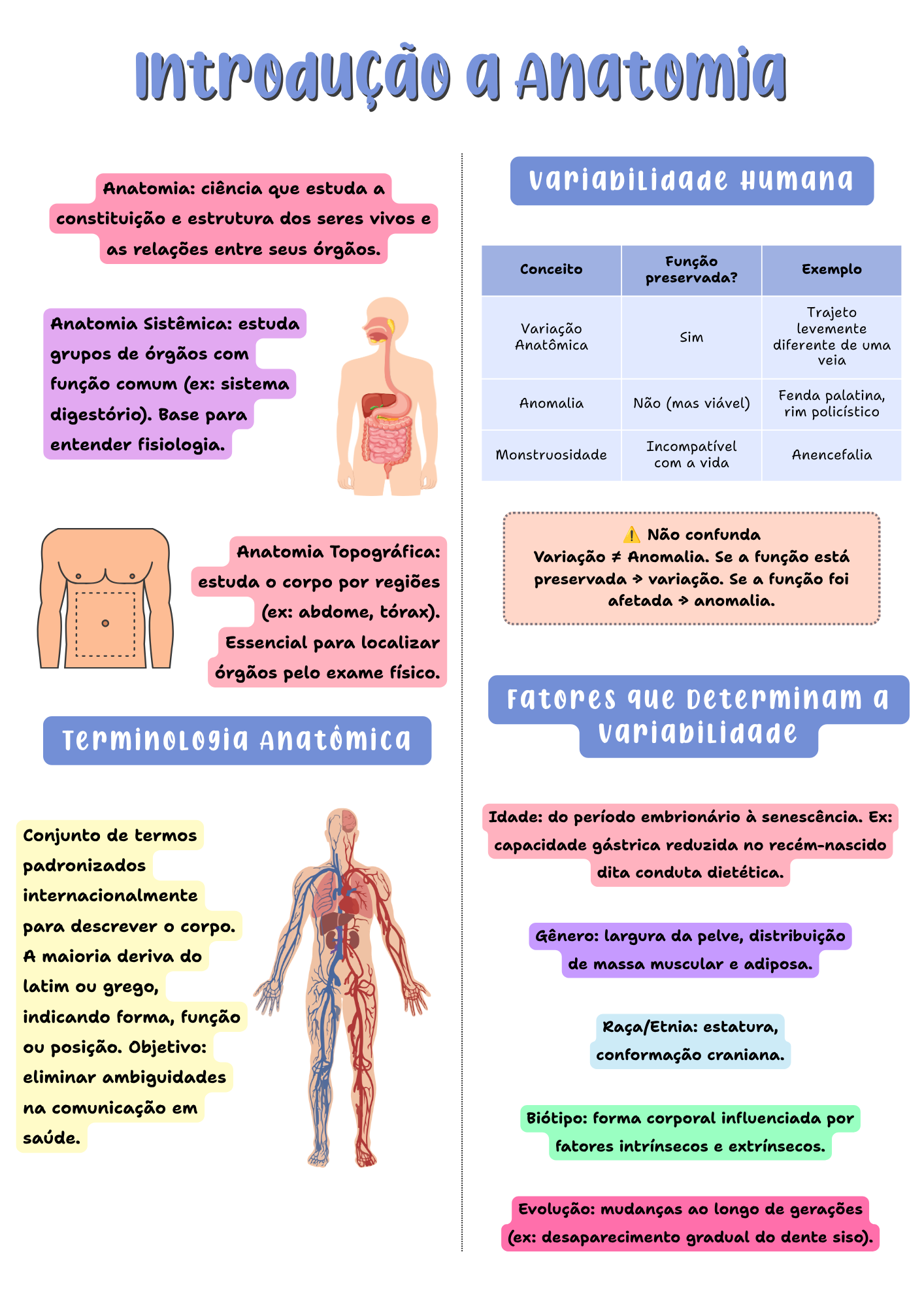 Página do resumo NutriEmResumos