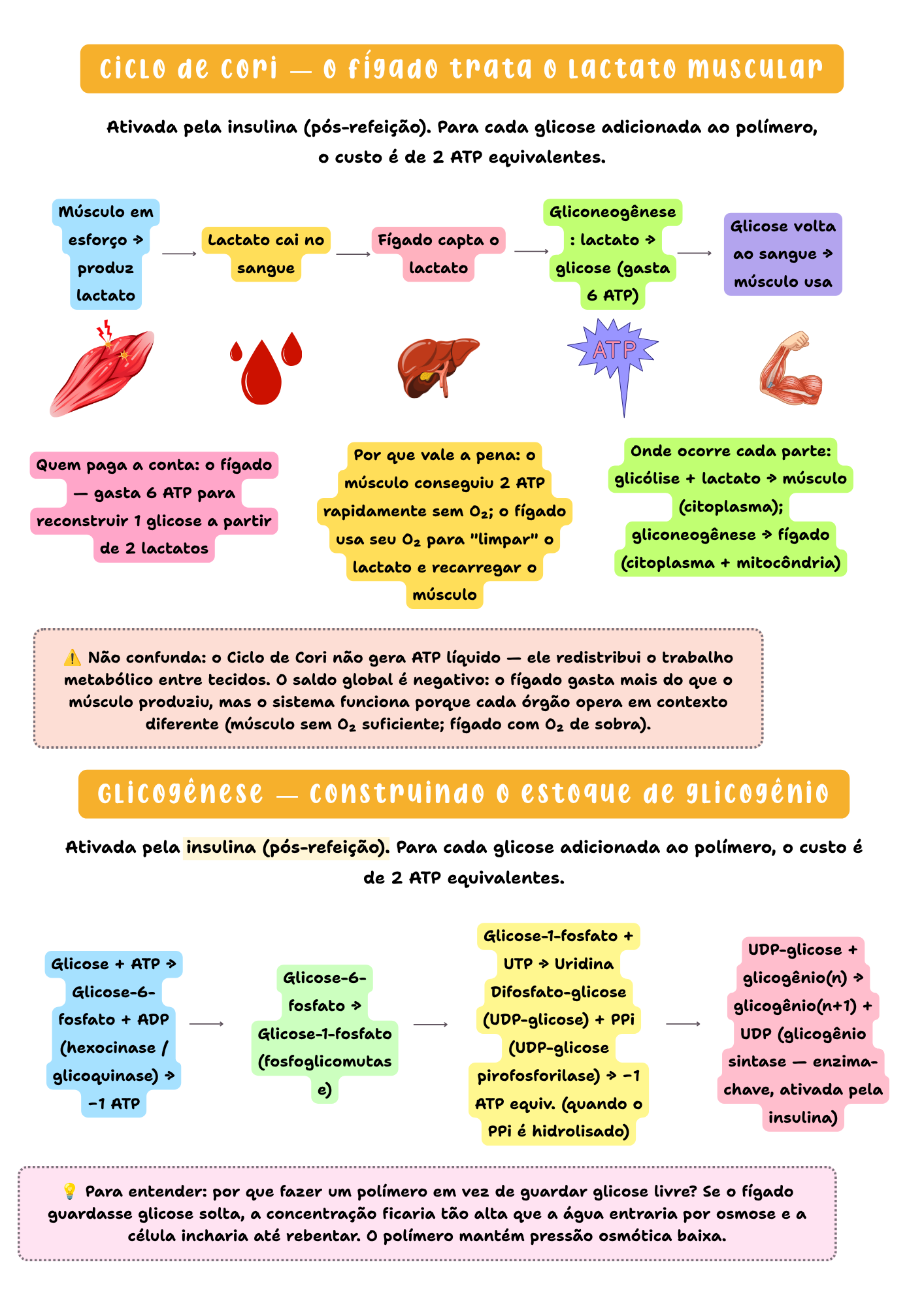 Amostra de página — Bioquímica