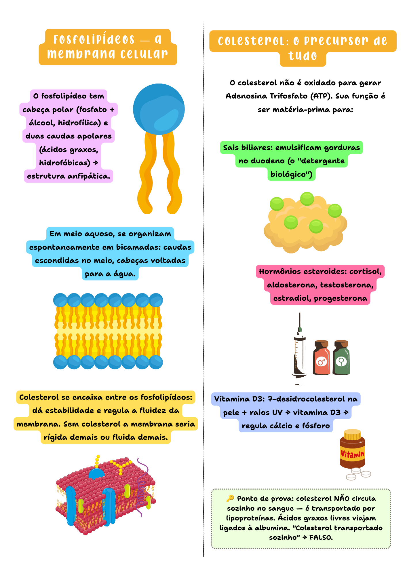Amostra de página — Bioquímica