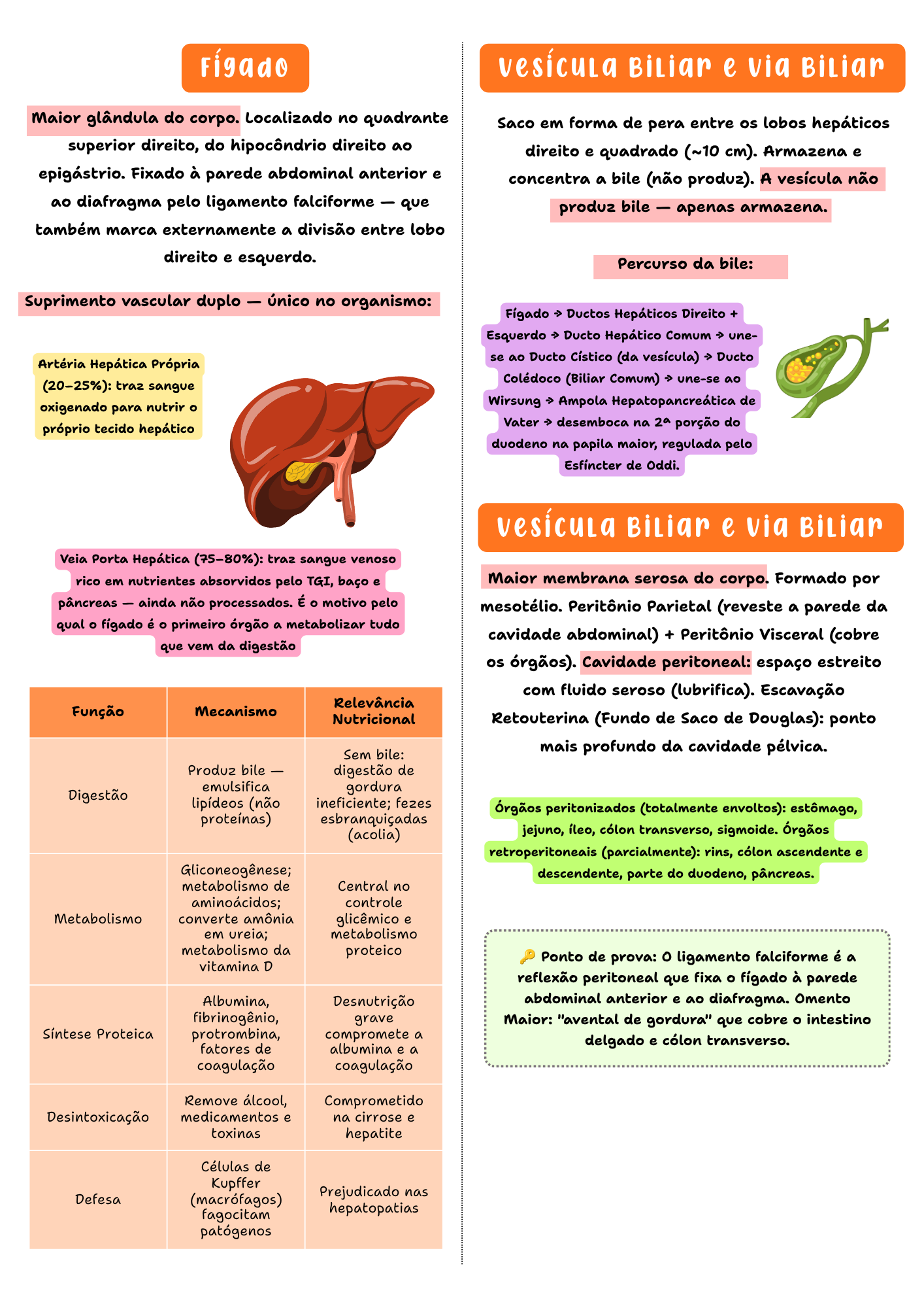 Amostra de página — Anatomia