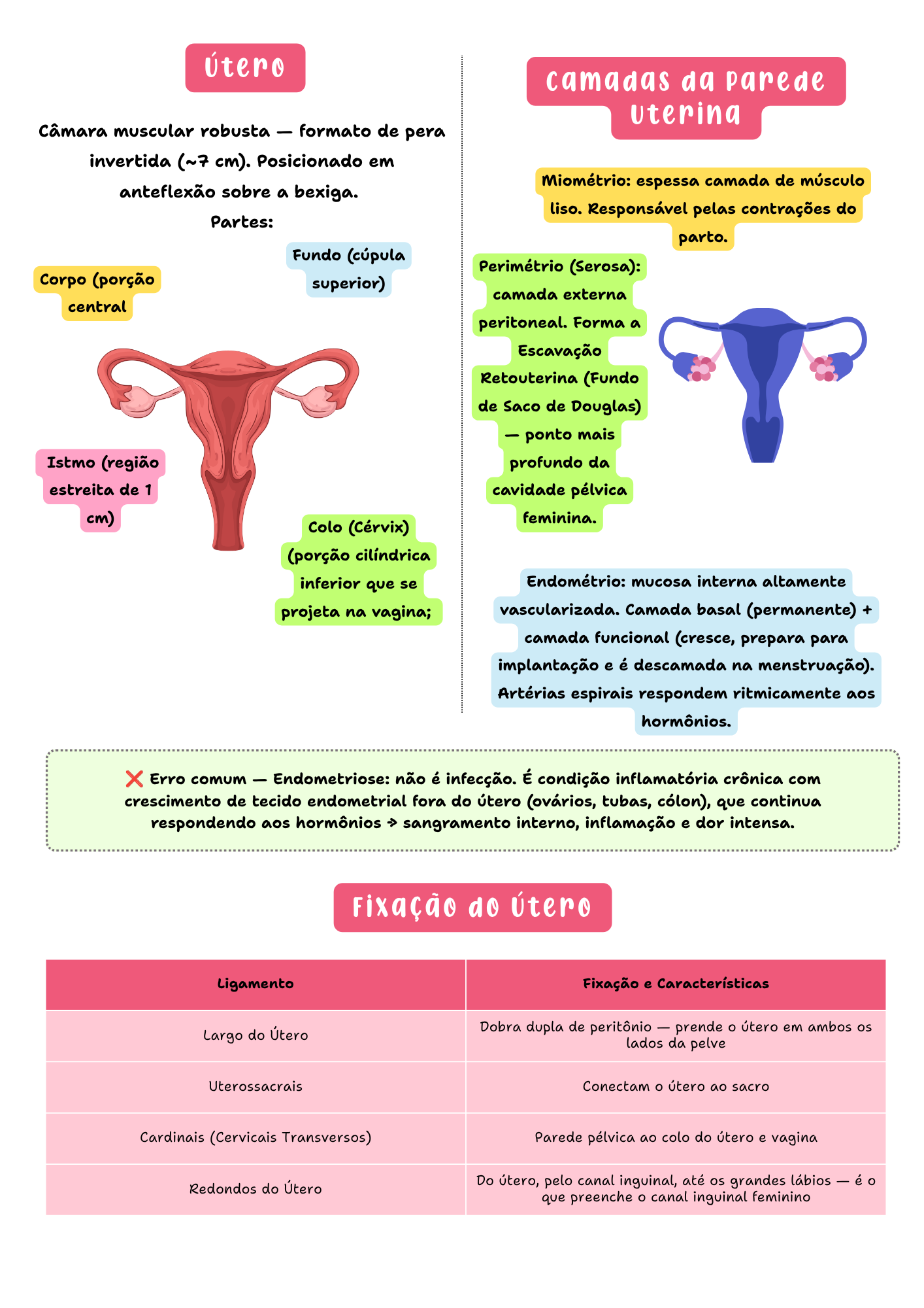 Amostra de página do resumo