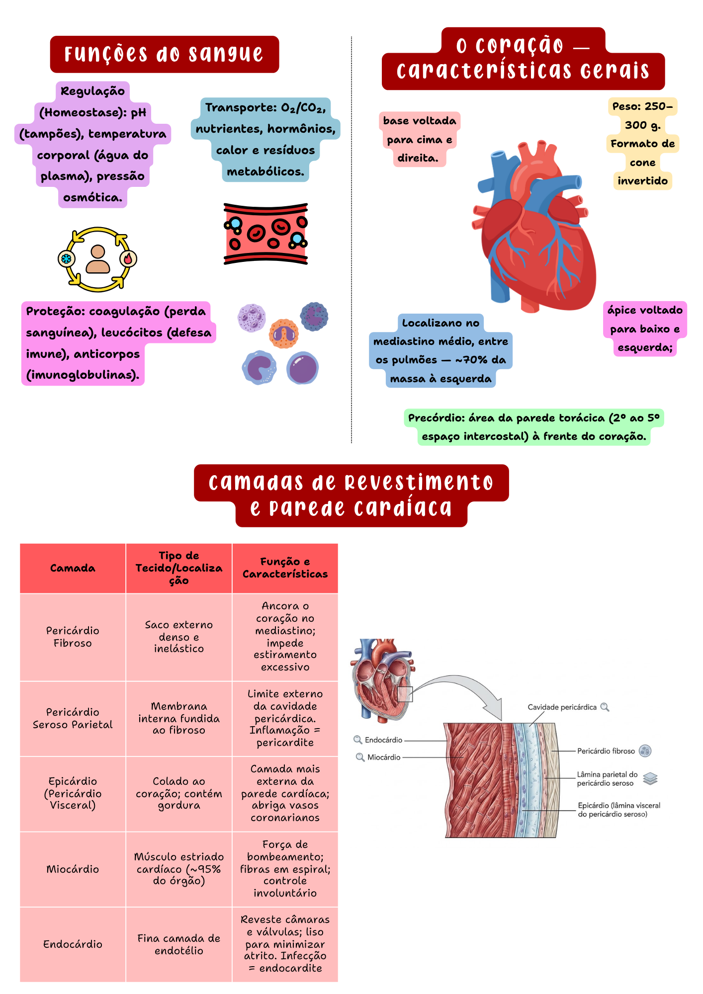 Amostra de página — Anatomia