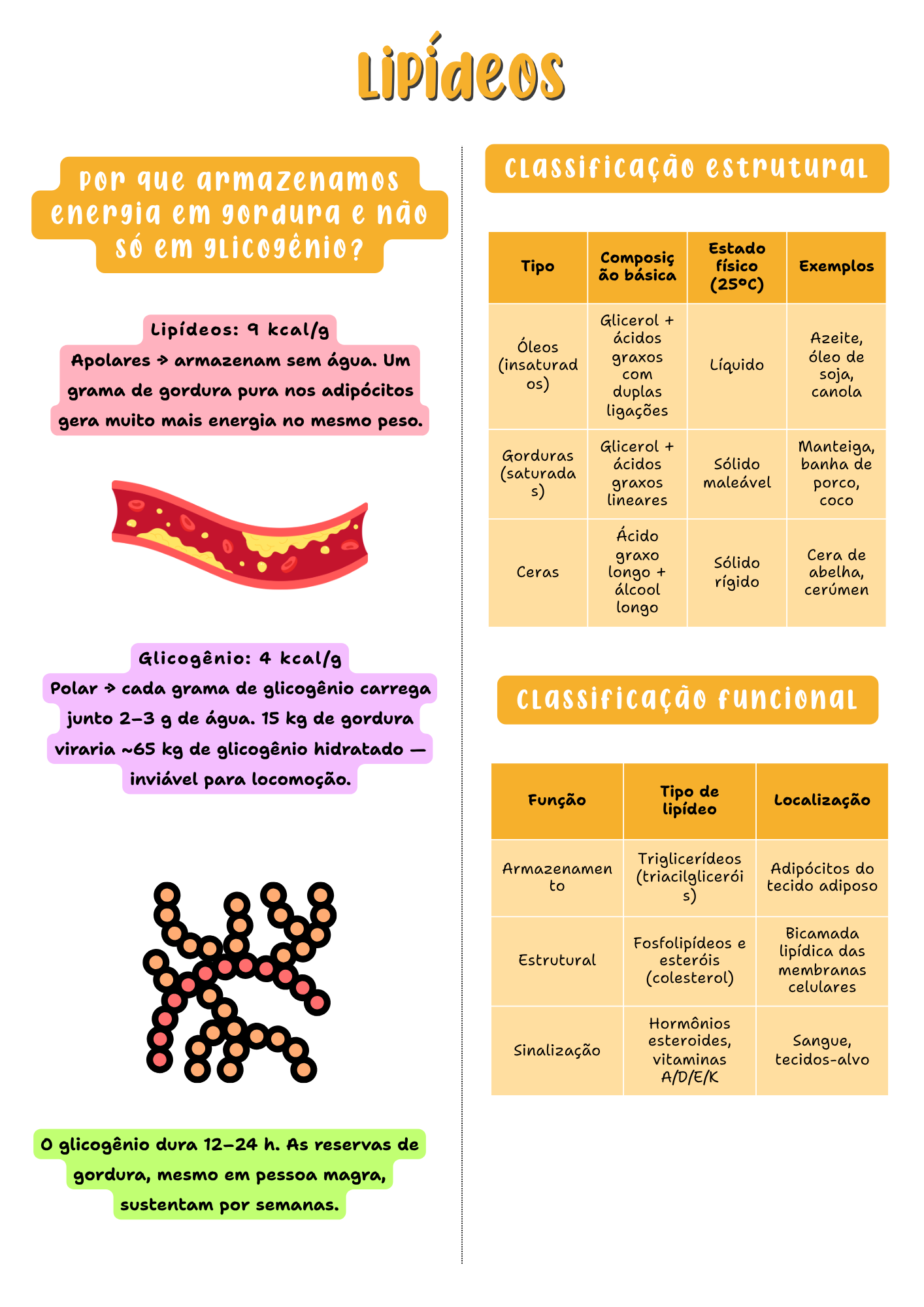 Amostra de página do resumo