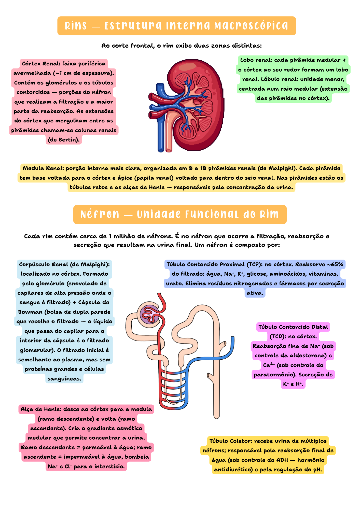 Amostra de página do resumo