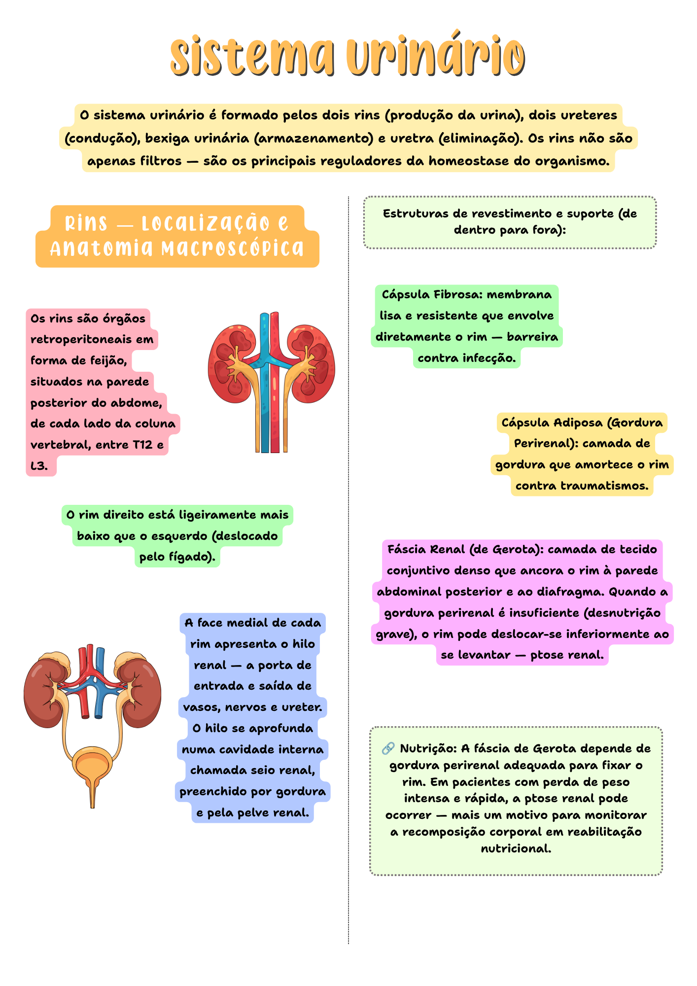 Amostra de página do resumo