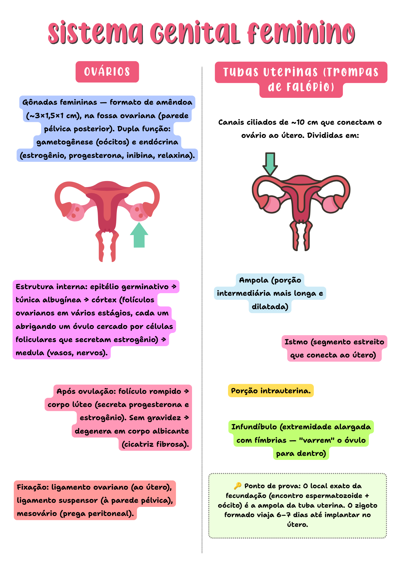 Amostra de página do resumo