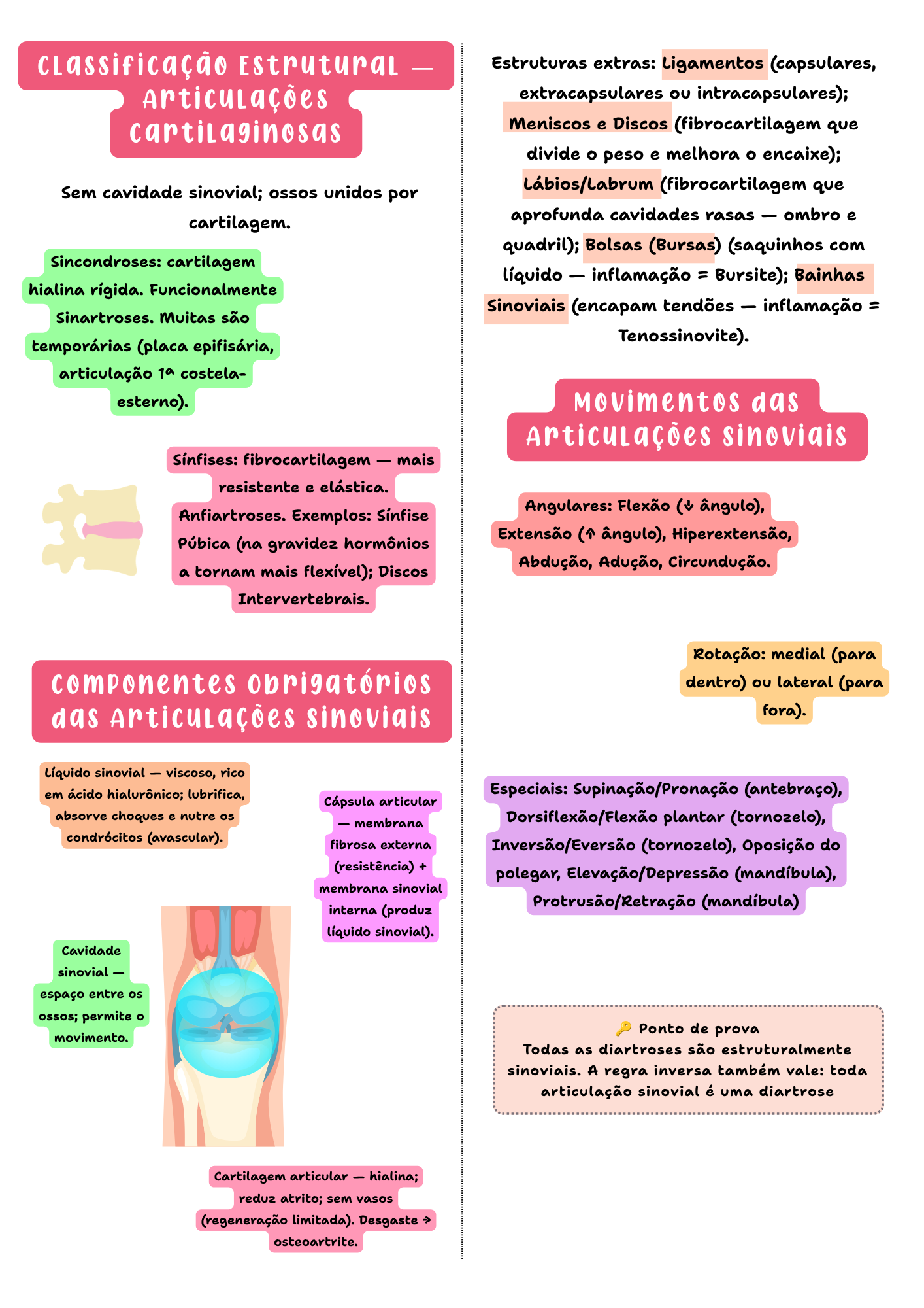 Amostra de página — Anatomia