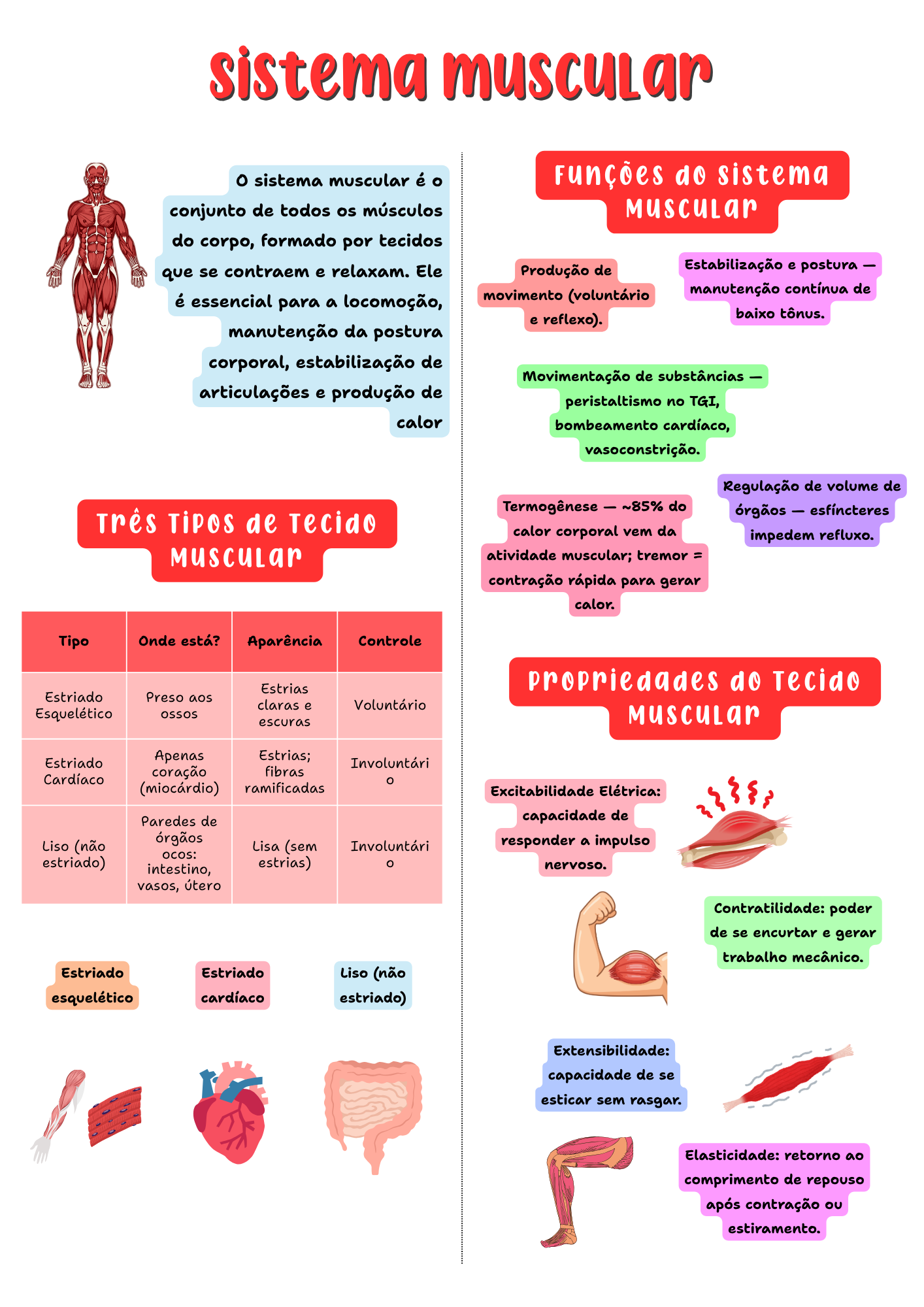 Amostra de página do resumo