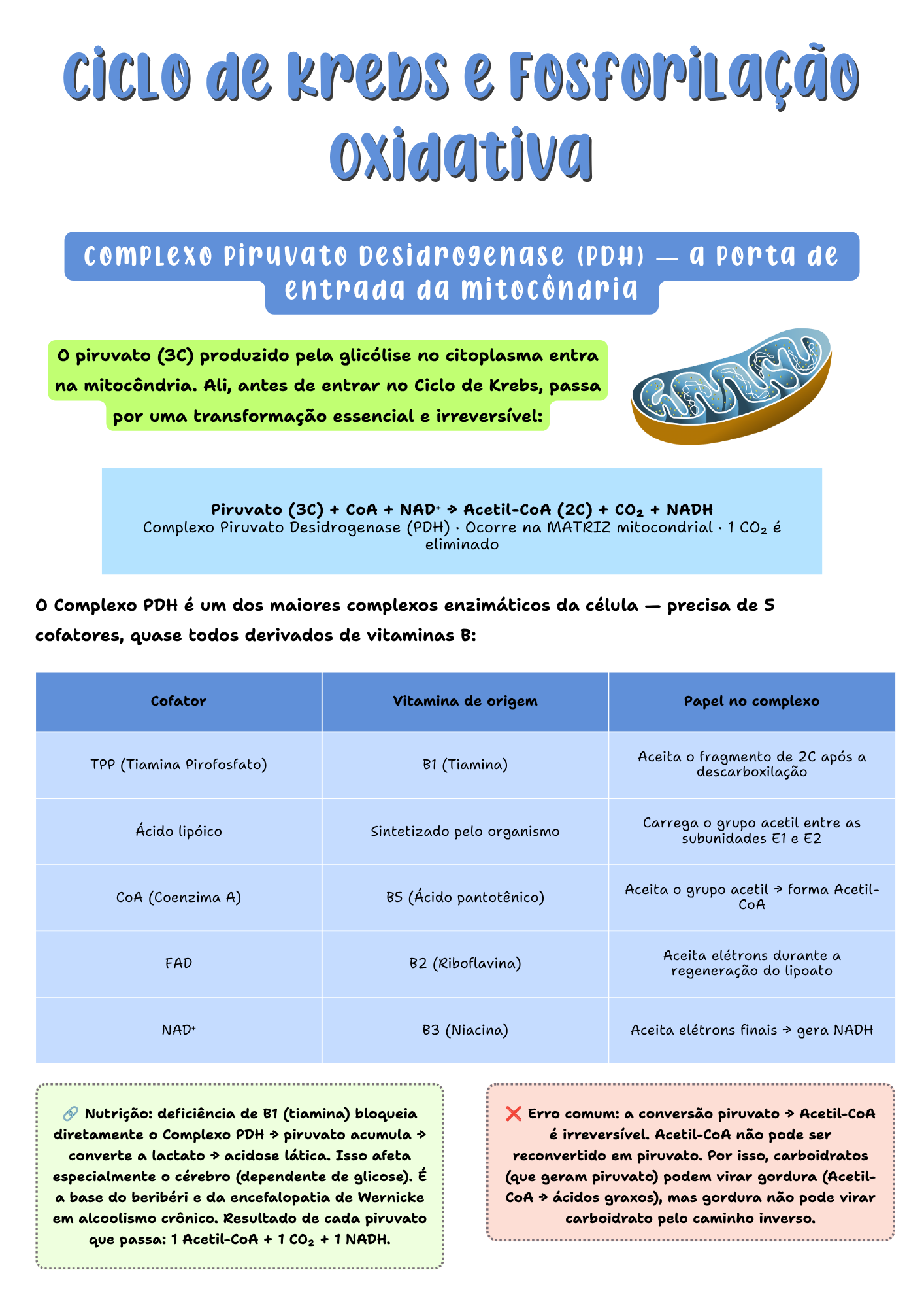 Amostra de página do resumo