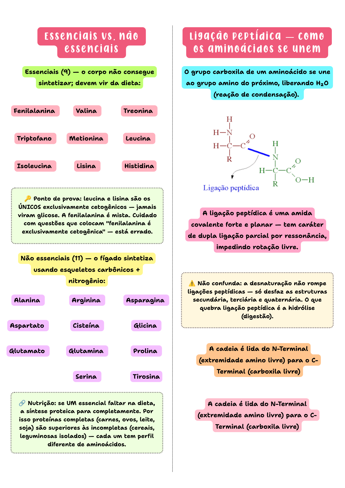 Página do resumo NutriEmResumos