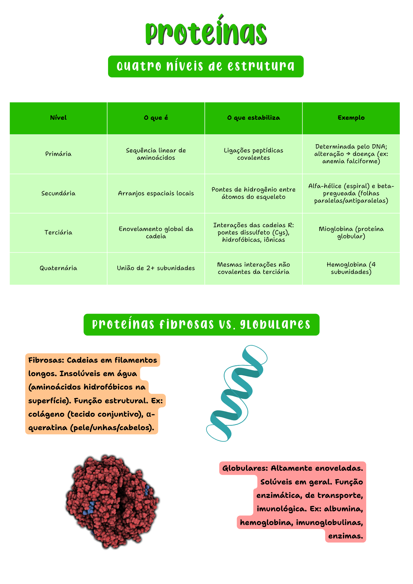 Amostra de página — Bioquímica