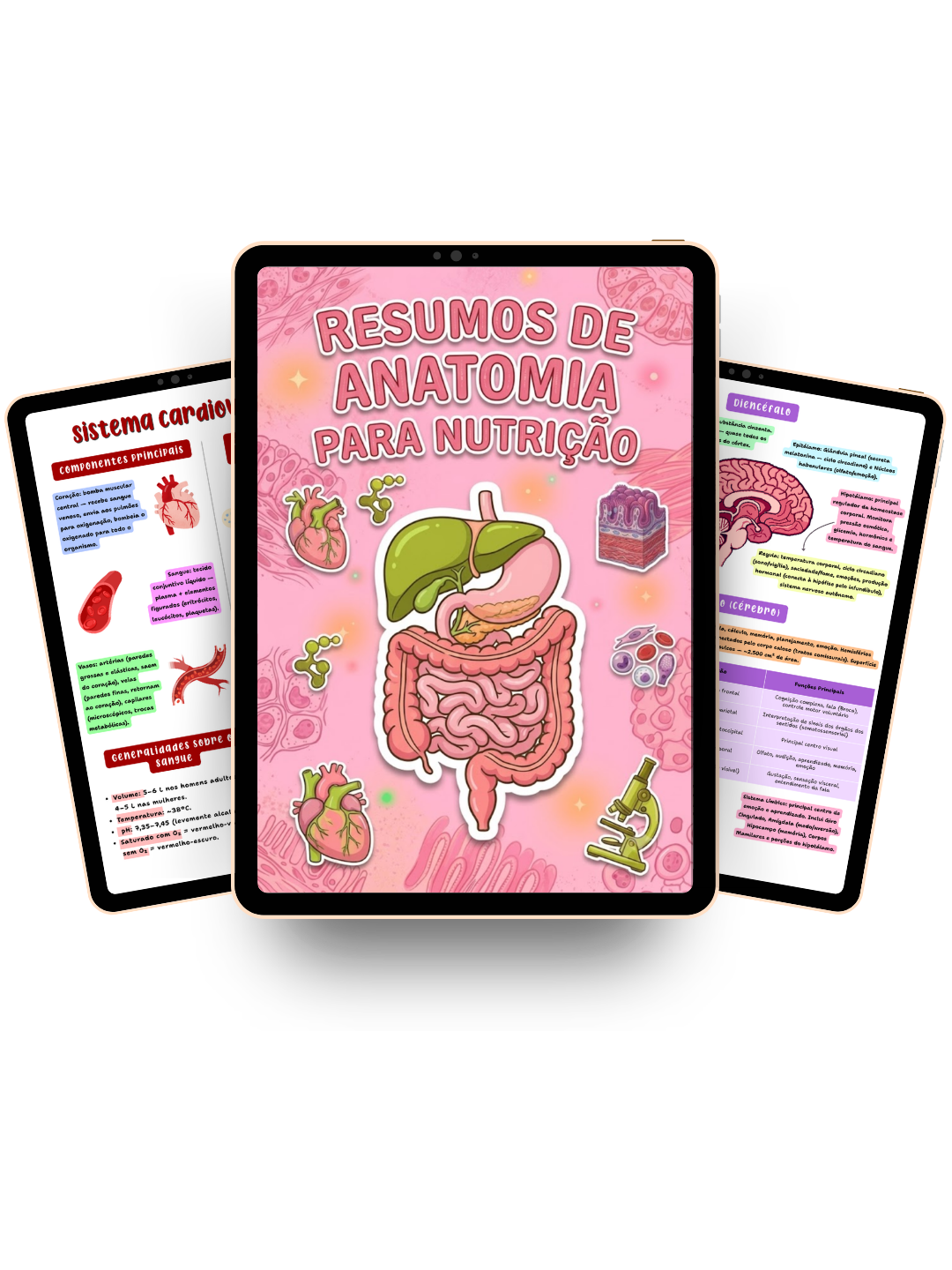 Resumos de Anatomia para Nutrição